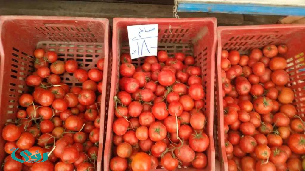 خطوة جديدة لضبط الأسواق.. وزارة التموين والتجارة الداخلية تطرح الطماطم بأسعار تنافسية