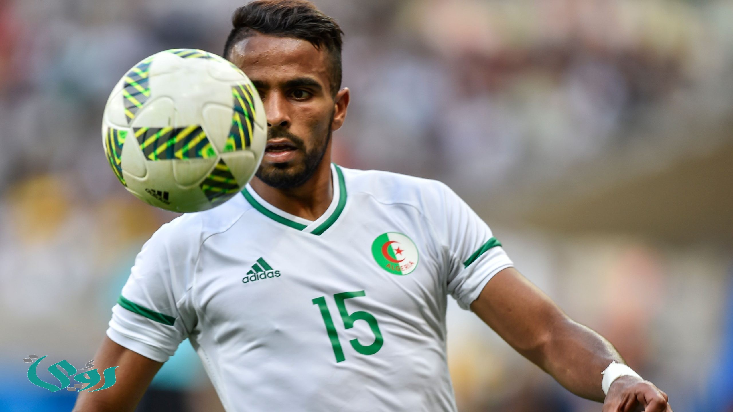 رئيس آسفي: فرحاني لم يرفض ارتداء علم المغرب وهؤلاء وراء الأزمة