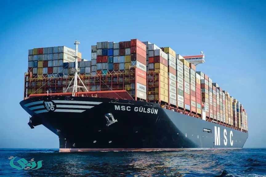 رئيس شعبة الاستيراد والتصدير بالجيزة: مصر تقترب من تحقيق إنجاز جديد في التصنيع المحلي وتقليل الواردات