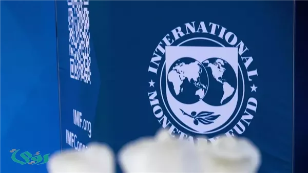 صندوق النقد الدولي: 35 مليار دولار رصيد احتياطي لمواجهة المخاطر الجيوسياسية