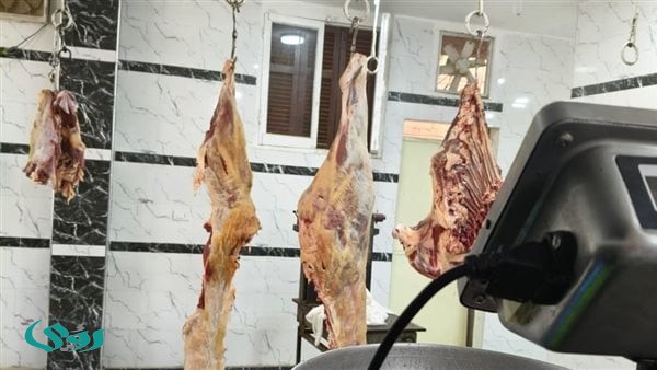 ضبط سلخانة غير مرخصة في الغربية