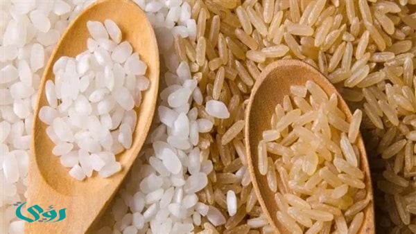 طن الشعير الآن.. سعر الأرز اليوم الثلاثاء 31 مارس 2026 في الأسواق