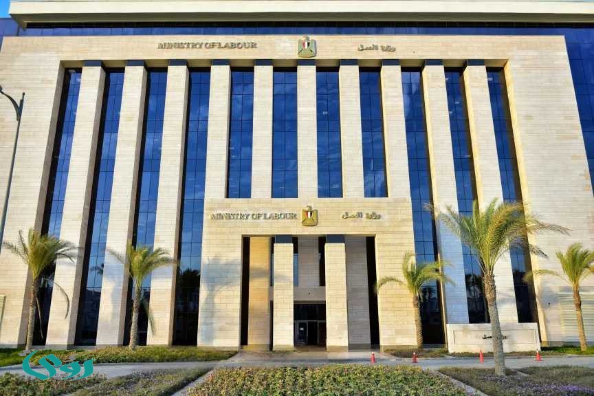 فرص عمل للشباب برواتب مُجزية.. كيفيو التقديم على وظائف وزارة العمل المصرية 2026