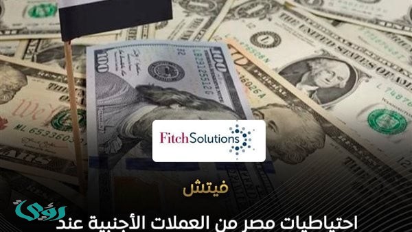 فيتش: احتياطيات قوية ومرونة سعر الصرف تدعمان قدرة الاقتصاد المصري على امتصاص الصدمات
