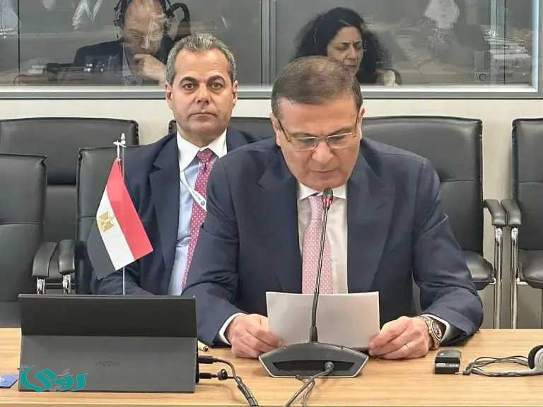 قرار جديد من وزير الزراعة المصري: 2500 جنيه سعر توريد القمح للإردب