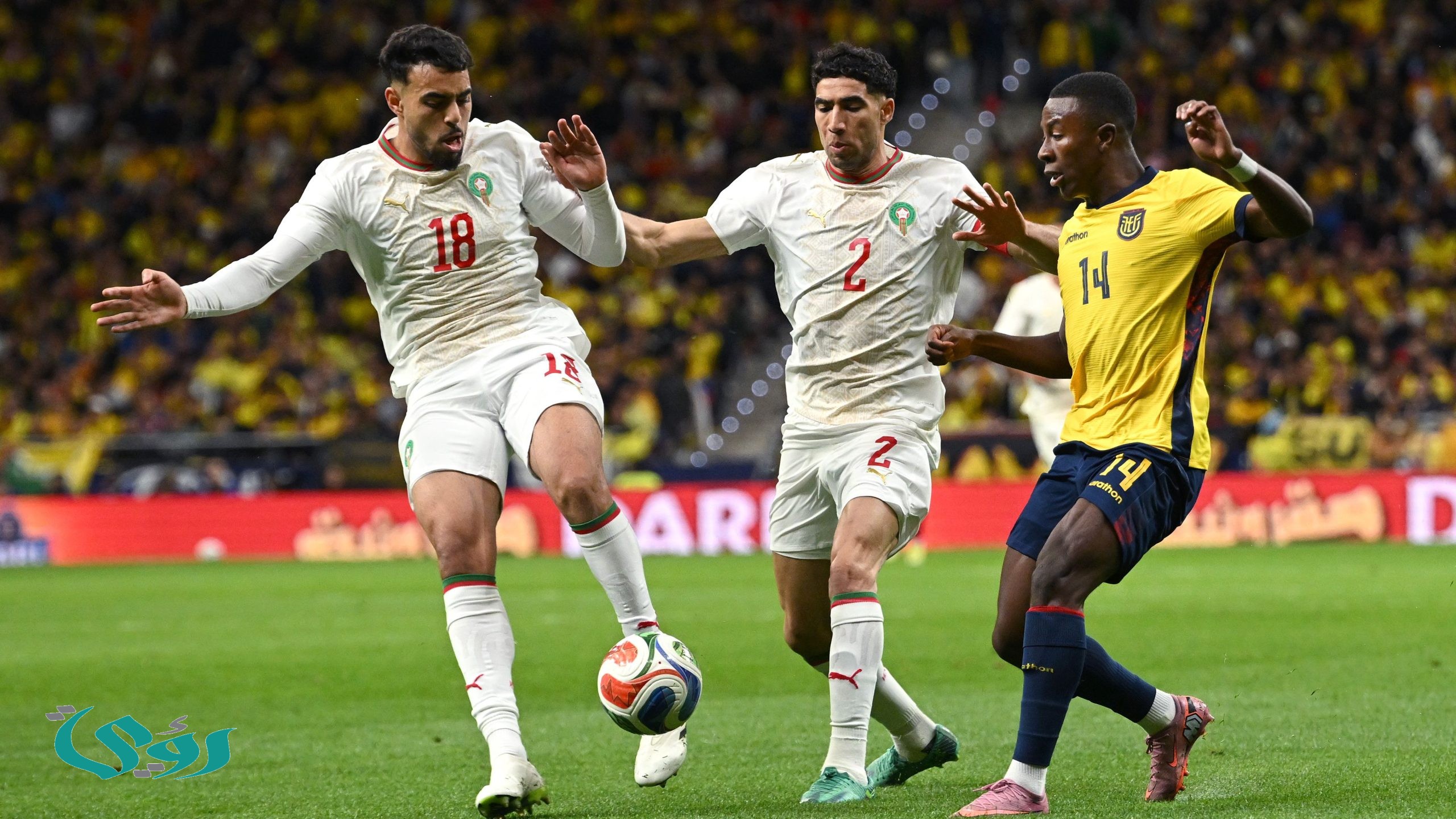 لاعب المغرب يعتذر: ارتكبت خطأ.. ولا تشكوا في حبي