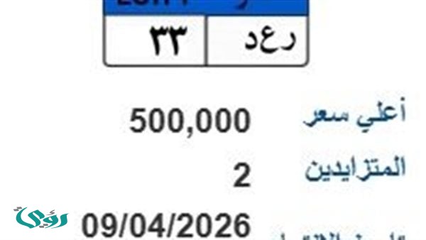 لوحة (رع د- 33) المميزة يصل سعرها 500 ألف جنيه