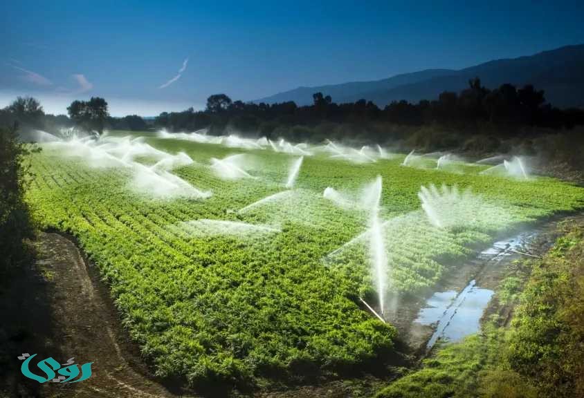 مشروع ضخم لنقل مياه الصرف الزراعي إلى محطة الدلتا الجديدة مشروع ضخم لنقل مياه الصرف الزراعي إلى محطة الدلتا الجديدة