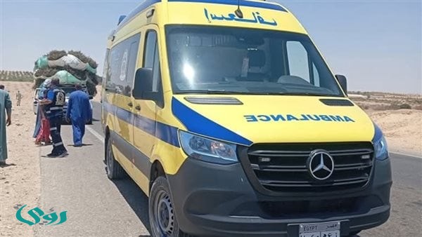 مصرع شخص وإصابة آخر في حادث تصادم شاحنتين بطريق العوينات بالوادي الجديد